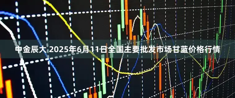 中金辰大 2025年6月11日全国主要批发市场甘蓝价格行情
