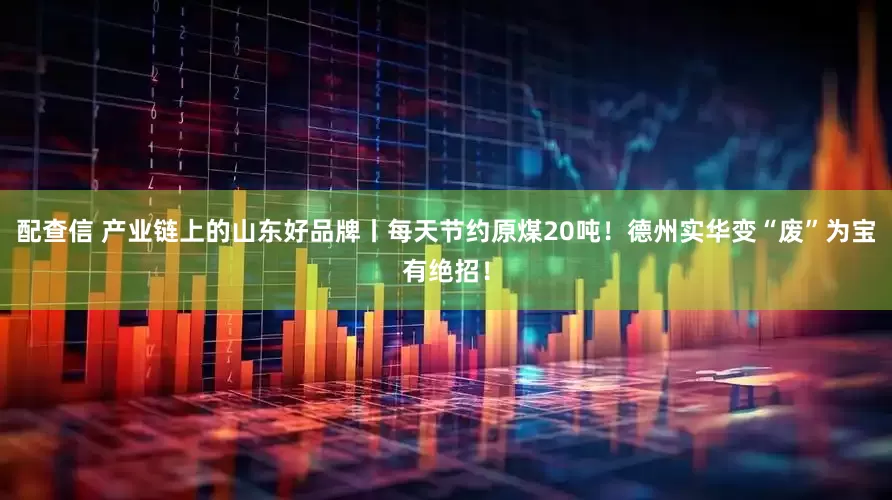 配查信 产业链上的山东好品牌丨每天节约原煤20吨！德州实华变“废”为宝有绝招！